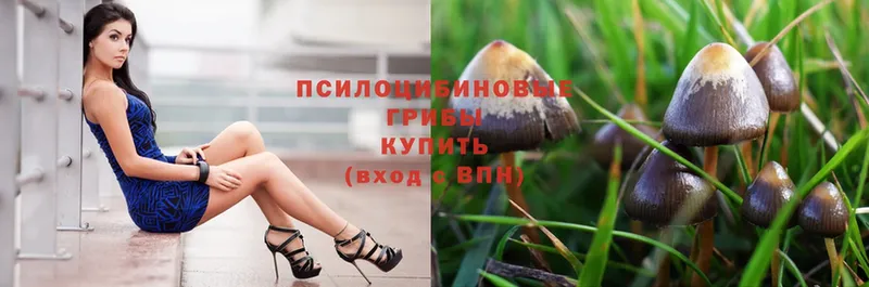 Гашиш Петушки