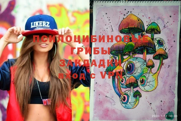 ГАЛЛЮЦИНОГЕННЫЕ ГРИБЫ Лихославль