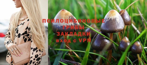 2c-b Приозерск