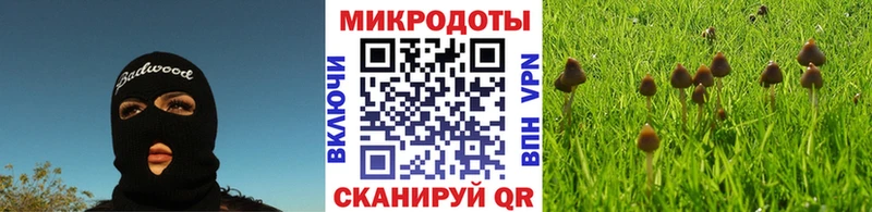 Галлюциногенные грибы прущие грибы  Петушки 